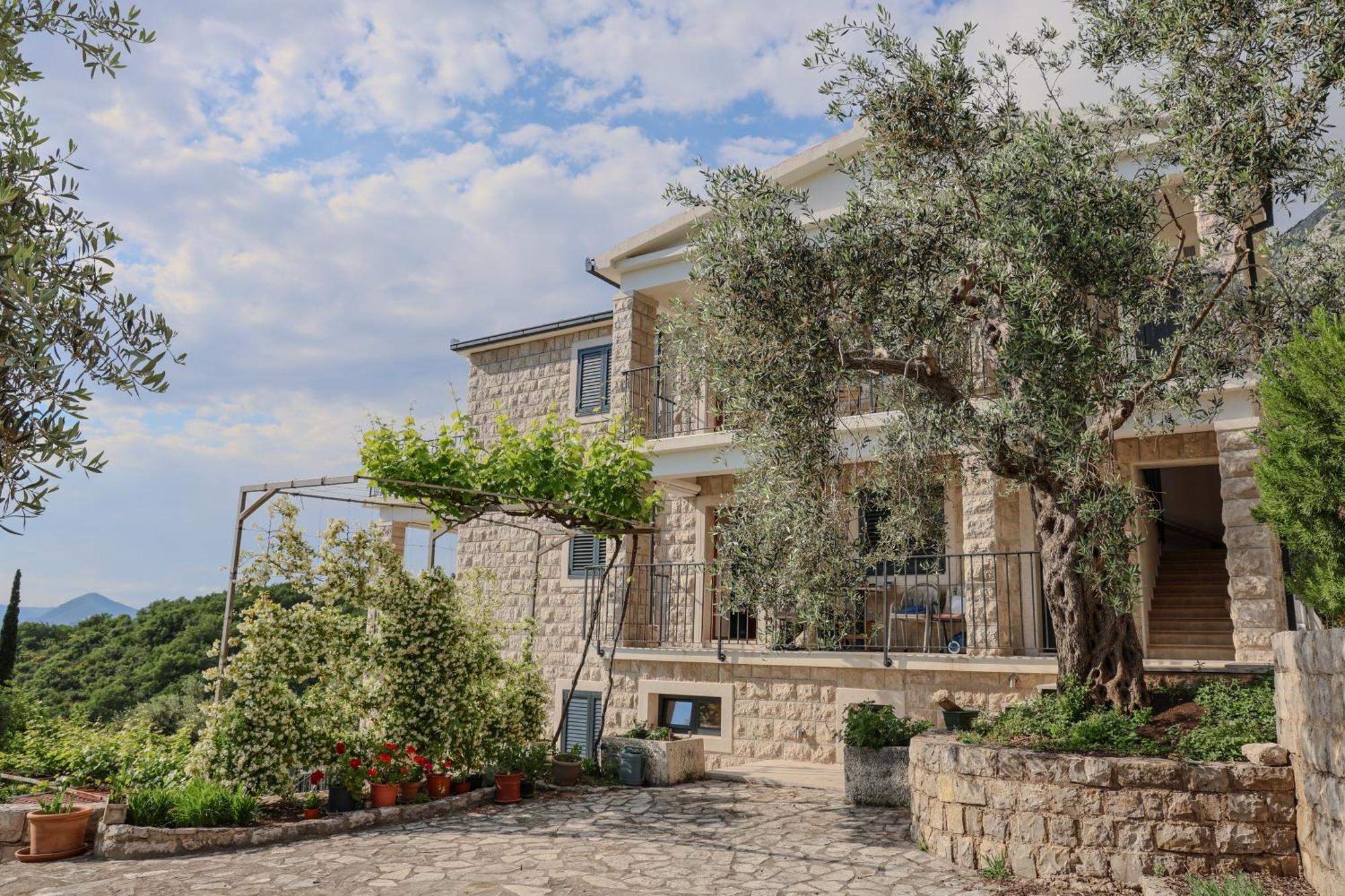Residence Vukovic, Rezevici Buitenkant foto
